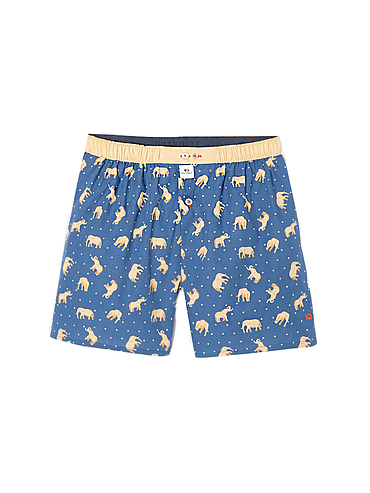 BillyBelt - Biologisch katoenen boxershorts - Elephant Dream - Maat M