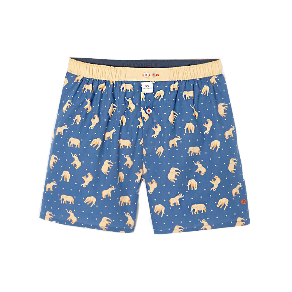 BillyBelt - Biologisch katoenen boxershorts - Elephant Dream - Maat M
